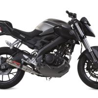 GPR exhaust compatible with  Yamaha Mt 125 2017-2019, Deeptone Inox, Slip-on exhaust including link pipe and removable db killer 