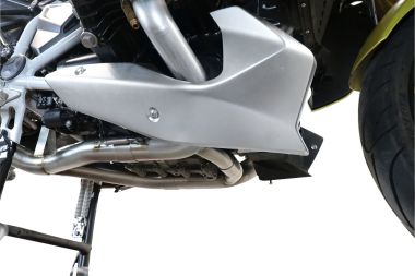 GPR exhaust compatible with  Bmw R1250R R1250RS 2021-2024, Decatalizzatore, Decat pipe 